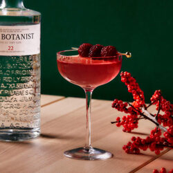 Raspberry Sherry Martini by Botanist